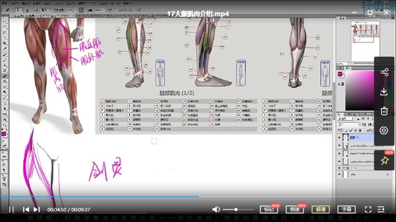 【设计上新】207.轻微课-【小粉菇】人体骨骼肌肉理解篇之动漫人物绘画基础课程插图2