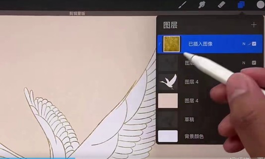 【設計上新】105.Procreate繪畫課插圖1