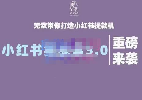 謝無敵?小紅書實戰(zhàn)營3.0，無敵帶你打造小紅書提款機 價值7999元