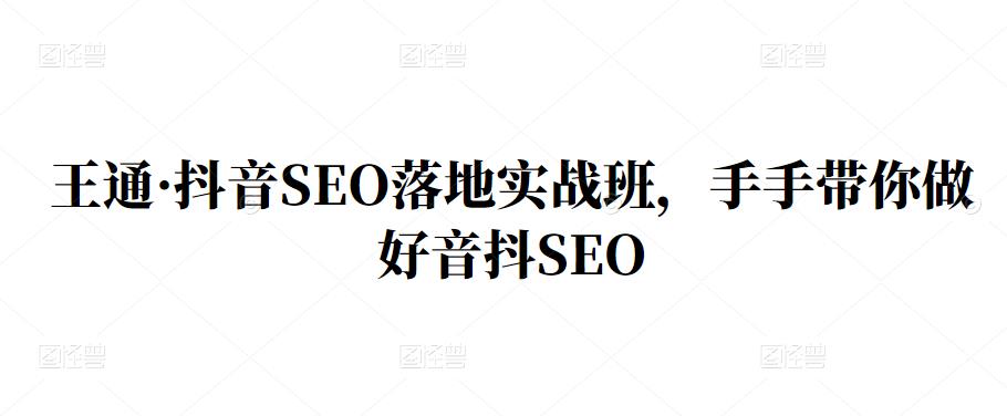 王通?抖音SEO落地實戰(zhàn)班，手把?手帶你做好抖音??SEO