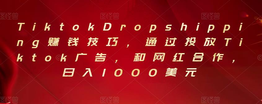 Tiktok Dropshipping賺錢(qián)技巧，通過(guò)投放Tiktok廣告，和網(wǎng)紅合作，日入1000美元