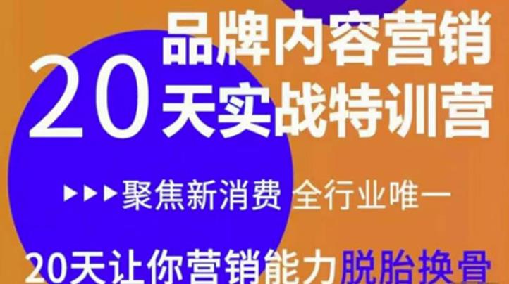 《內(nèi)容營銷實操特訓(xùn)營》20天讓你營銷能力脫胎換骨（價值3999）