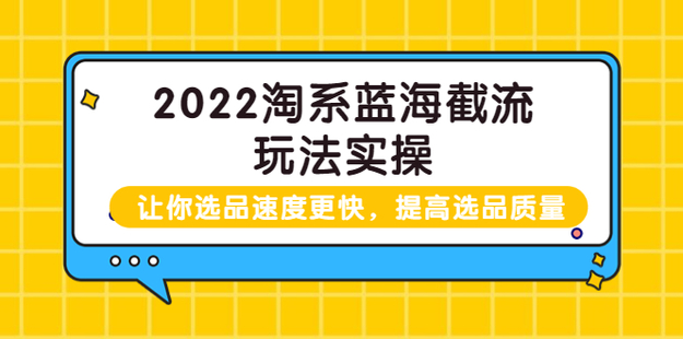 2022淘系藍海截流玩法實操網(wǎng)盤分享插圖