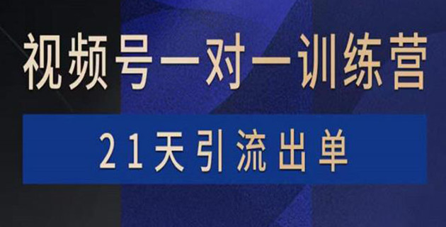 花爷×Alan×figo视频号一对一训练营网盘分享插图