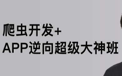 路飛-爬蟲(chóng)開(kāi)發(fā)+APP逆向超級(jí)大神班1-3班價(jià)值4999元2022年網(wǎng)盤(pán)分享插圖