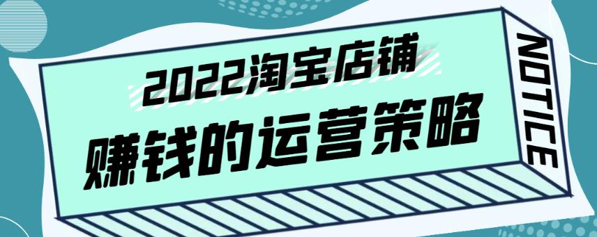 震宇老师・2022年淘宝店铺赚钱的运营策略，全店动销策略网盘分享插图