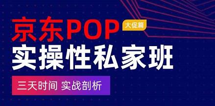 京東POP實操性私家班―大促篇，?三天時間實戰(zhàn)剖析網(wǎng)盤分享插圖