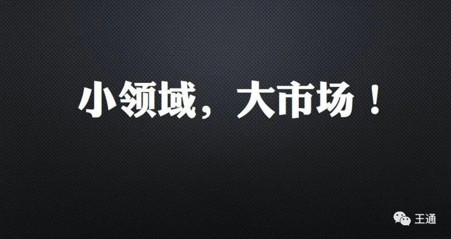 細分領域賺錢課：王通取名技能課網盤分享插圖