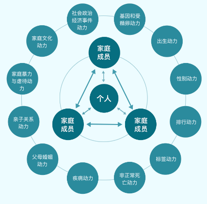 沈家宏?系統(tǒng)動力式家庭治療入門課百度網(wǎng)盤插圖1