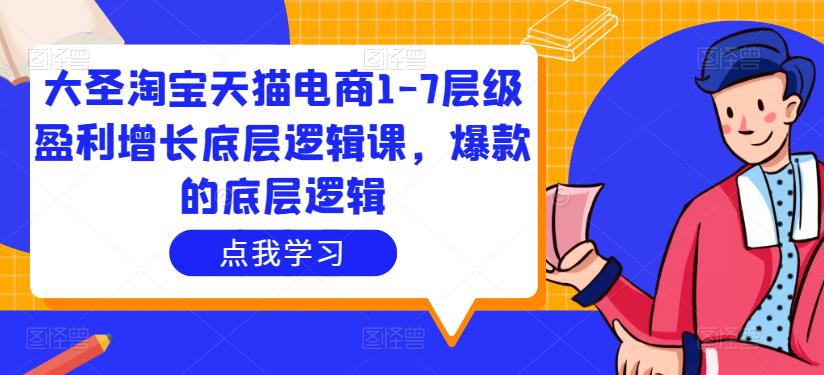 大圣淘寶天貓電商1-7層級盈利增長底層邏輯課，爆款的底層邏輯百度網盤插圖