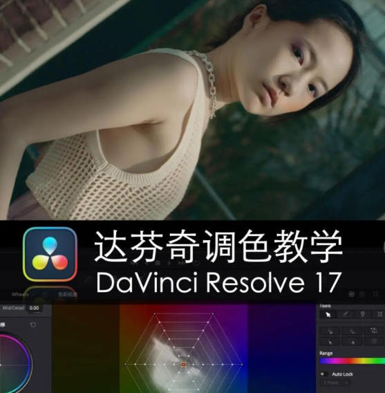 舞光弄影達芬奇調色教學DaVinci Resolve17速成教學大師指南課百度網盤插圖