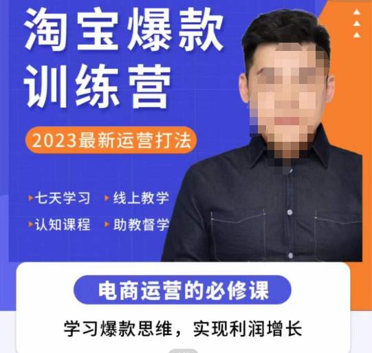 愛上黃昏?淘寶爆款訓練營，2023最新運營打法，學習爆款思維實現(xiàn)利潤增長插圖