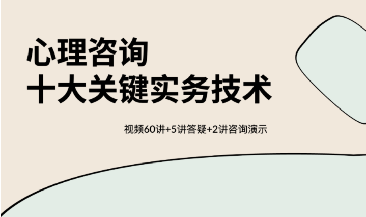 心理咨詢十大關鍵實務技術 視頻60講百度網盤插圖