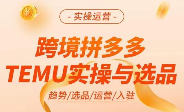 跨境拼多多TEMU實操與選品，?掌握平臺運(yùn)營方法技巧，選品避坑12條標(biāo)準(zhǔn)百度網(wǎng)盤插圖