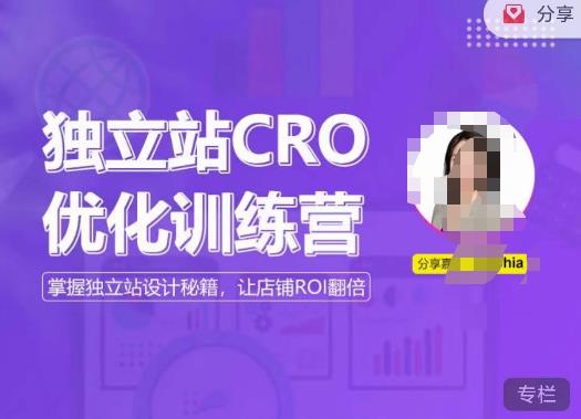 獨立站CRO優化訓練營，掌握獨立站設計，打造高轉化獨立站，讓店鋪ROI翻倍百度網盤插圖