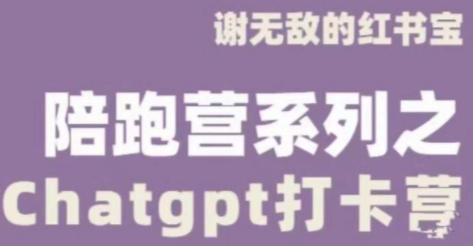 謝無敵ChatGPT打卡營，教你更好地使用ChatGPT來提高工作效率百度網盤插圖