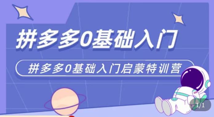 六一电商・拼多多运营0-1实操特训营，拼多多从基础到进阶的可实操玩法百度网盘插图