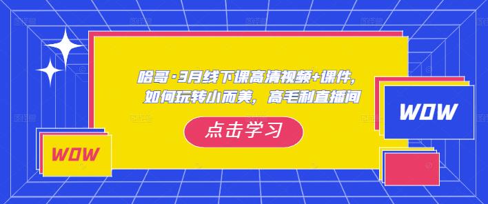 哈哥?3月線下實(shí)操課高清視頻+課件，如何玩轉(zhuǎn)小而美高毛利直播間百度網(wǎng)盤插圖