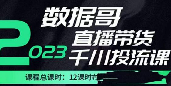 數據哥2023直播電商巨量千川付費投流課，掌握直播帶貨運營投放策略百度網盤插圖