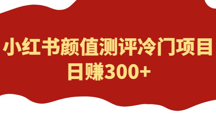 外面1980的項目，小紅書顏值測評冷門項目日賺300百度網(wǎng)盤插圖