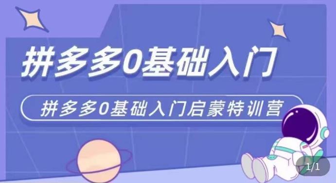 拼多多運營0-1實操特訓營，拼多多0基礎入門，從基礎到進階實操百度網盤插圖