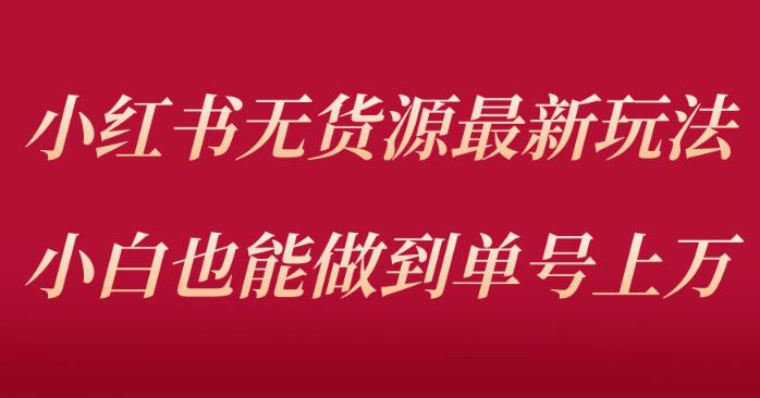 小红书无货源最新螺旋起号玩法，电商小白也能做到单号上万（价值3980元）百度网盘插图