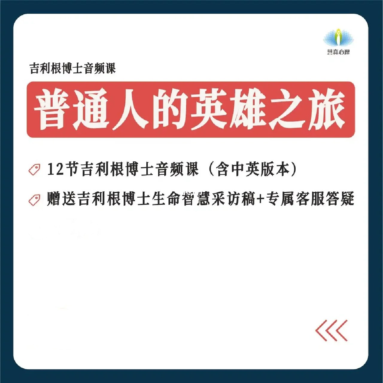 斯蒂芬・吉利根 普通人的英雄之旅：8步走出困境让生命能量流动百度网盘插图