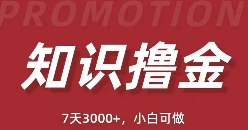 抖音知識擼金項目：簡單粗暴日入1000+當天見收益(教程+資料)百度網(wǎng)盤插圖