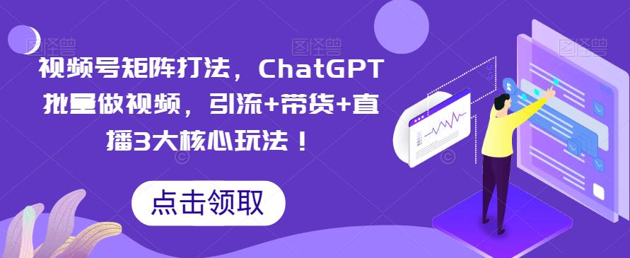 视频号矩阵打法，ChatGPT批量做视频引流+带货+直播玩法百度网盘插图