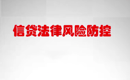 一個月學懂銀行信貸法律風險防控實務百度網盤插圖