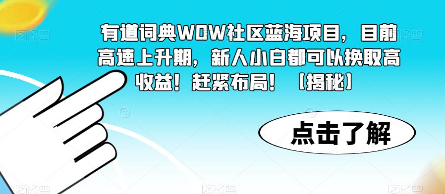 有道詞典WOW社區(qū)藍(lán)海項(xiàng)目，目前高速上升期，新人小白高收益百度網(wǎng)盤插圖