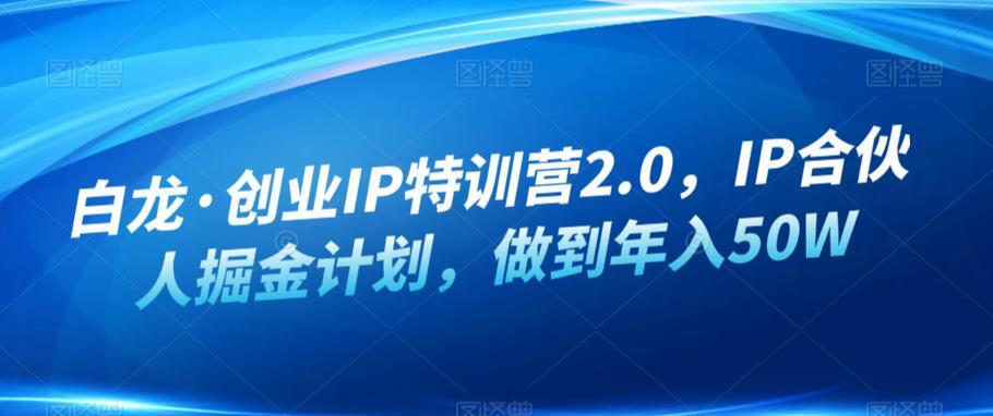 白龍·創(chuàng)業(yè)IP特訓營2.0 ，IP合伙人掘金計劃年入50W百度網(wǎng)盤插圖