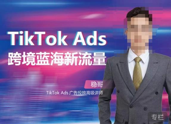 稳哥・如何投出高ROI的TikTok广告，开拓独立站卖家流量新蓝海百度网盘插图