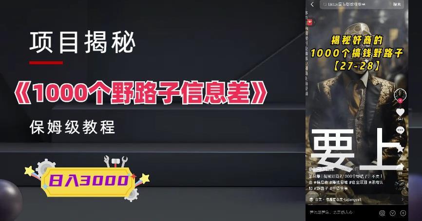 1000个野路子信息差保姆式教程，副业每天变现3000玩法百度网盘插图