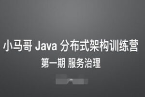 小马哥Java分布式架构训练营第一期服务治理百度网盘插图