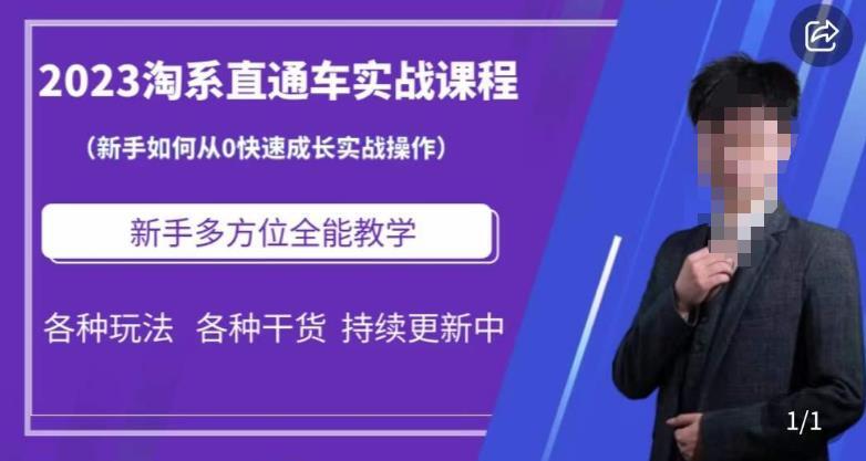 2023淘系直通車保姆式運(yùn)營講解，新手從0快速成長實戰(zhàn)百度網(wǎng)盤插圖