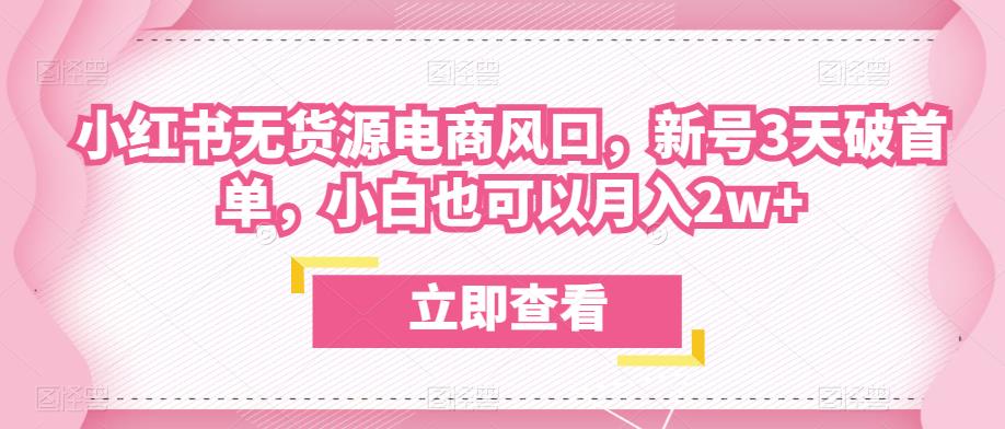 眾狼電商余文小紅書無貨源電商風(fēng)口，新號3天破首單月入過萬百度網(wǎng)盤插圖