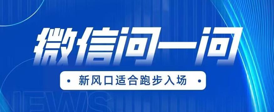 全網首發微信問一問新風口變現項目（價值1999元）百度網盤插圖