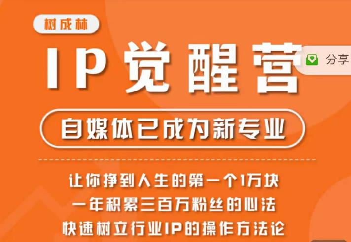 樹成林?IP覺醒營，樹立行業(yè)IP操作方法論，賺到人生第一個1萬塊百度網(wǎng)盤插圖