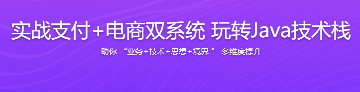 实战支付+电商双系统玩转Java技术栈百度网盘插图