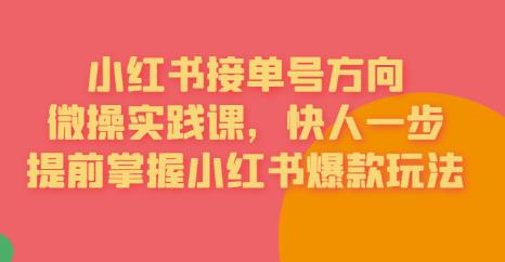 接單號方向?小紅書微操實踐課，提前掌握小紅書爆款玩法百度網(wǎng)盤插圖