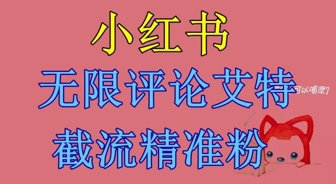 小紅書無限評論艾特截流精準粉（軟件+教程）百度網(wǎng)盤插圖