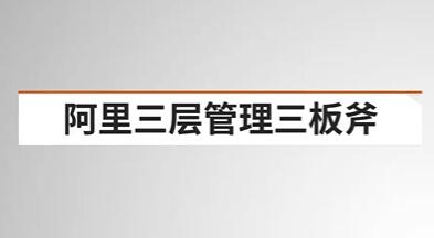 《阿里三層管理三板斧》戰略性組織執行力百度網盤插圖