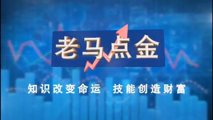 老馬點金職業(yè)操盤手的看盤與復盤技巧百度網盤插圖