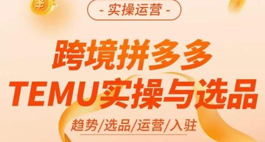 伍跃・跨境拼多多TEMU实操与选品，趋势/选品/运营/入驻百度网盘插图