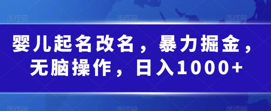 嬰兒起名改名，暴力掘金0門檻操作日入1000百度網(wǎng)盤插圖