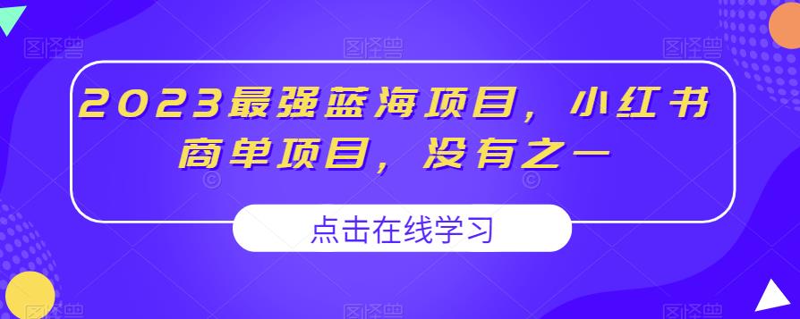 2023年最强蓝海项目，小红书商单项目百度网盘插图