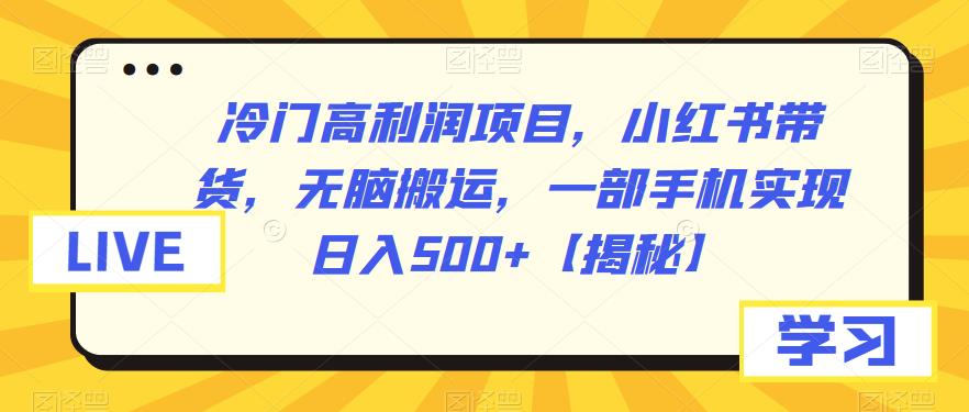 冷門高利潤項目小紅書帶貨，一部手機搬運視頻日入500百度網盤插圖