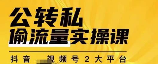 群响公转私偷流量实操课，拥有更多自持，持续，稳定，精准私域流量百度网盘插图