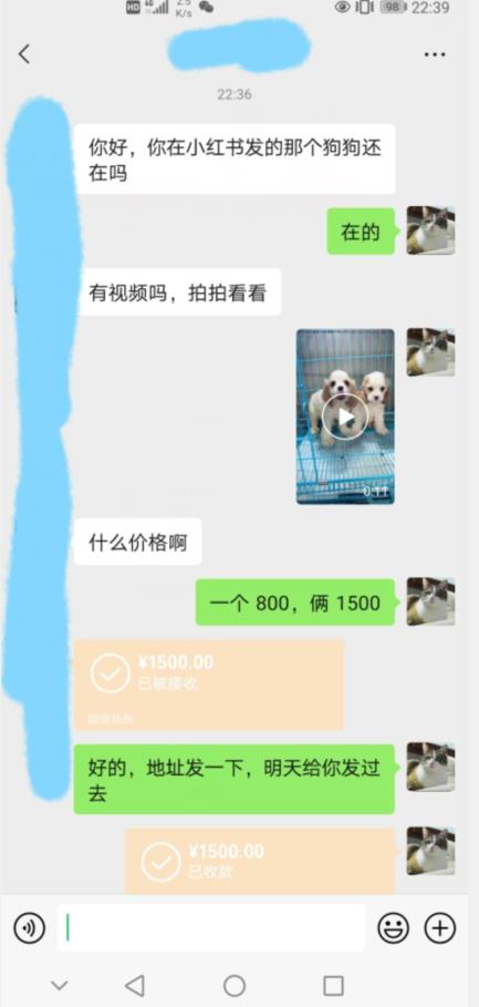 收费3980同城萌宠项目百度网盘插图1